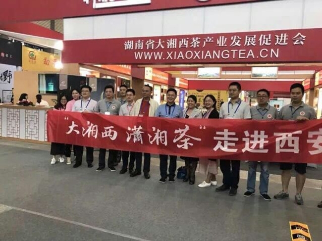 博览会现场_副本.jpg